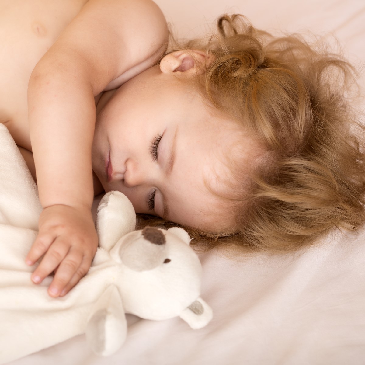 Closeup view of lovely little sleeping boy child with blonde curly hair round cheeks and tiny fingers lying with closed eyes in bed with plush stuffed bear toy on white background, square picture